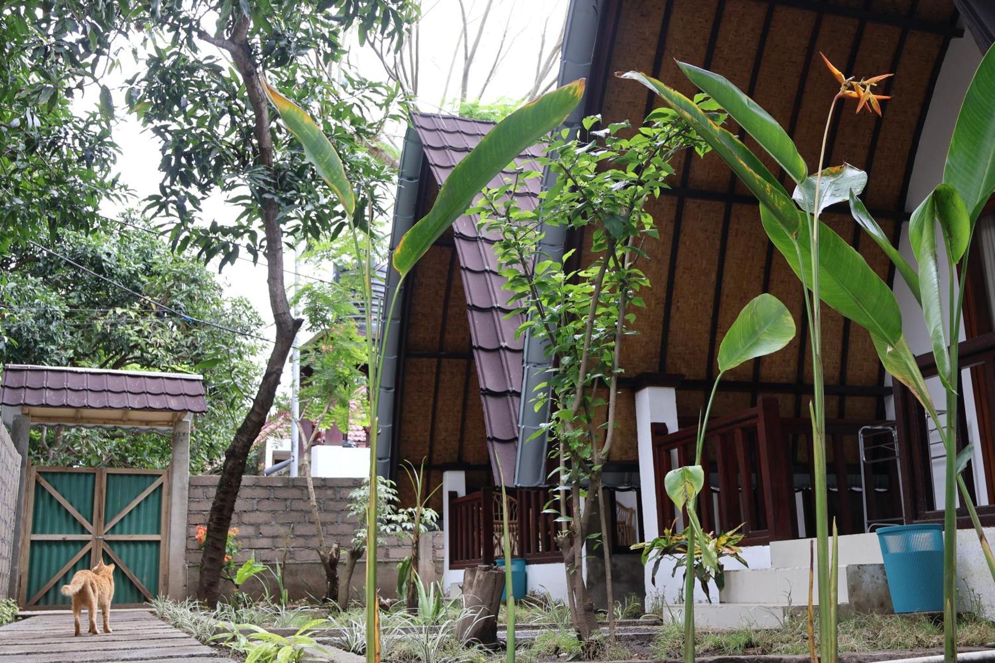 Rumah Gemala ギリ・アイル エクステリア 写真